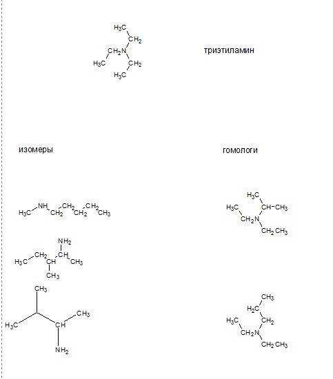 3изомера и 2 гомолога для триэтиламина