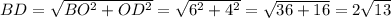 BD=\sqrt{BO^2+OD^2}=\sqrt{6^2+4^2}=\sqrt{36+16}=2\sqrt{13}