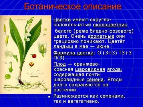 Формула цветка тимофеевич луговая и цветка ландыш.