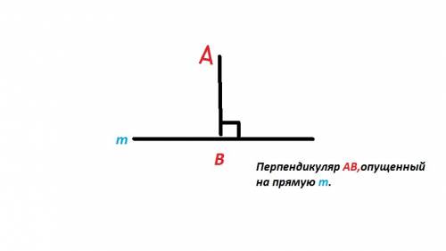 Что такое медиана, меридиан, луч, середина треугольника и перпендикуляр?