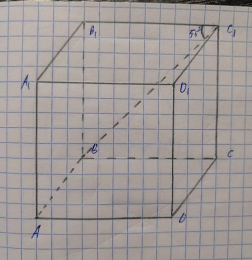 Впрямоугольном параллелепипеде abcda1b1c1d1 угол bc1b1 равен 55 градусов.найдите угол между прямыми