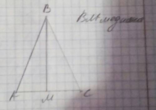 Постройте медиану вм треугольникаавс