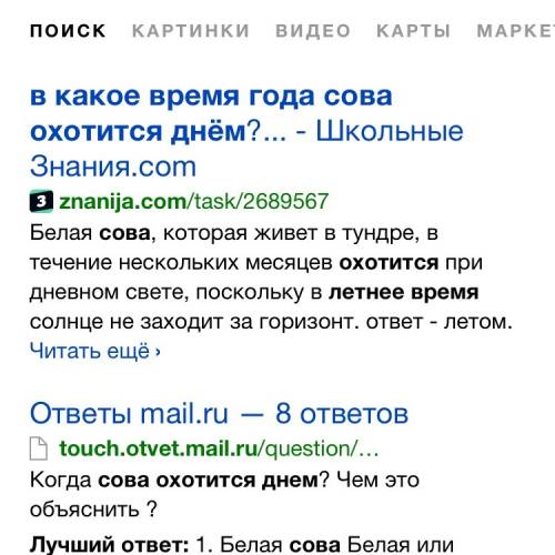 Вкакое время года сова охотится днём?