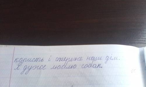 По українскій мові задали написати твір-мініатюру мій ій улюбленець! ! (если что ій улюбленець это