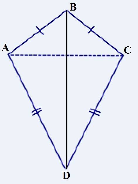 Равнобедренный треугольник а б ц и а д ц имеют общее основание a c докажите что треугольник abd и cb