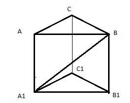 Вправильной треугольной призмы сторона основания равна 3 см, а диагональ боковой грани – 5 см. найди