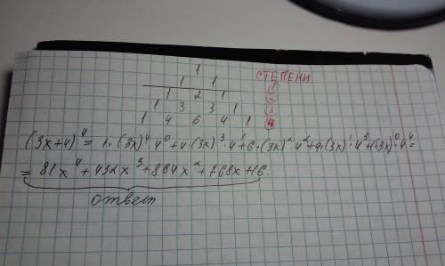 Записать разложение бинома (3x+4)^4