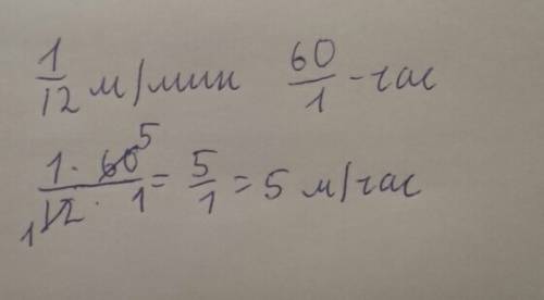 Скорость улитки 1/12 м/мин. нийти его скорость в км за час