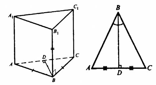 Вычислите площадь полной поверхности прямой призмы, основание которой- треугольник со сторонами 10см