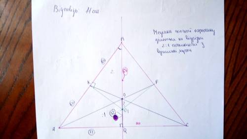 Сделать : основа рівнобедреного трикутника дорівнює 144 см, а периметр дорівнює 384 см. обчисліть ві