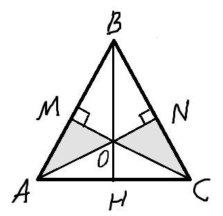 1) в равностороннем △abc на биссектрисе вн взята точка о так, что on⊥bc; om⊥ab (n∈bc, m∈ab). докажит