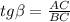 tg \beta = \frac{AC}{BC}