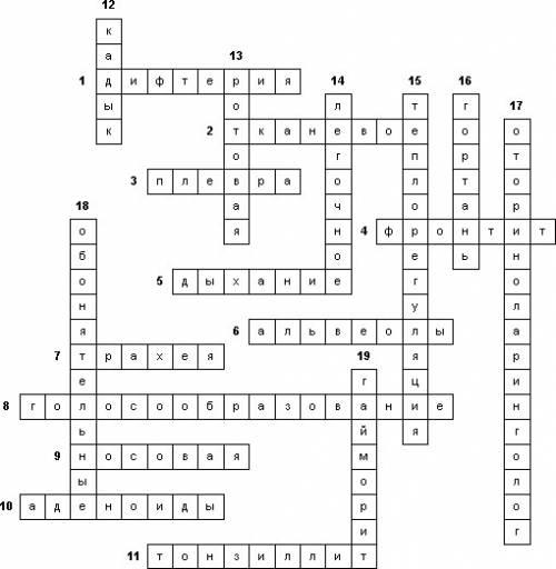 Кроссворд по окружающему миру как работает дыхательная система
