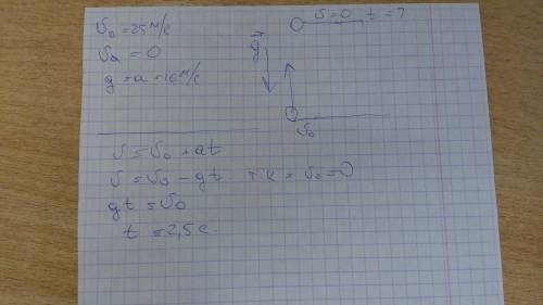 Тело вертикально в гору с скоростью 25 м/с.за какое время тело поднимется до самой высокой точки?