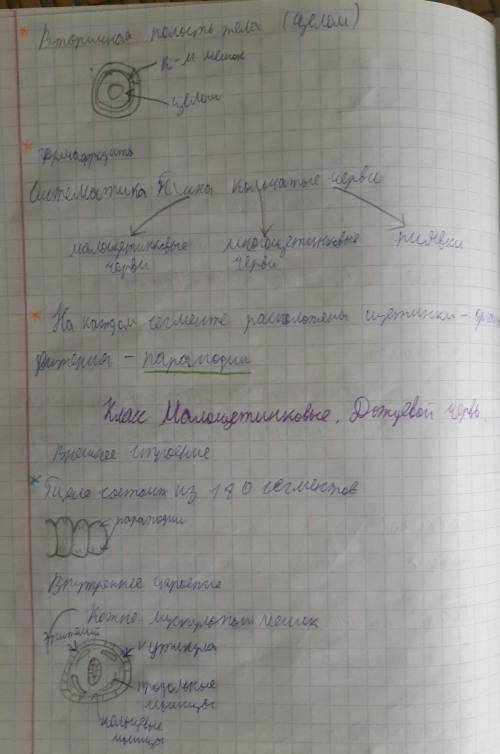 Краткое и точное содержание по биологии-тип кольчатые черви, или кольчецы.