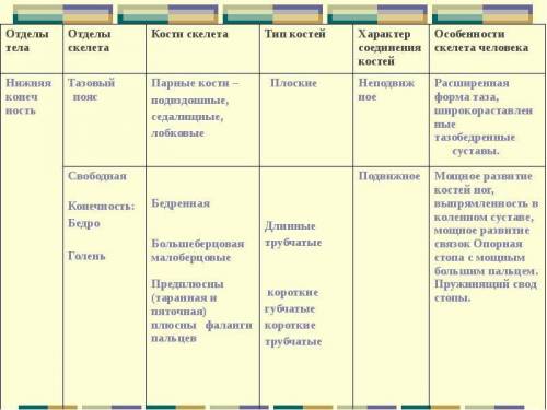 Отделы тела отделы скелета кости скелета типы костей характер соединения костей особенности скелета