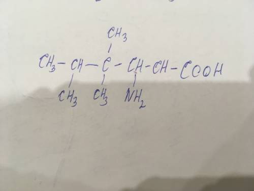 3-амино-5-метил-4,4-диметилгексановая кислота?
