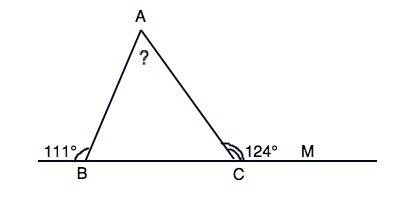 Втреугольнике авс внешние углы при вершинах в и с равны 111° и 124° соответственно. найдите градусну