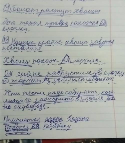 Подчеркнуть члены предложения. у болот растут хвощи.это такая травка,похожая на ёлочки.в наших краях