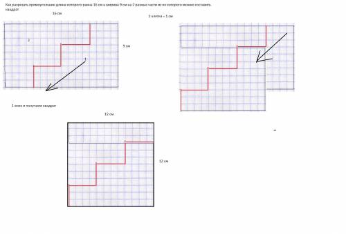 Как разрезать прямоугольник длина которого равна 16 см а ширина 9 см на 2 равные части из из которых