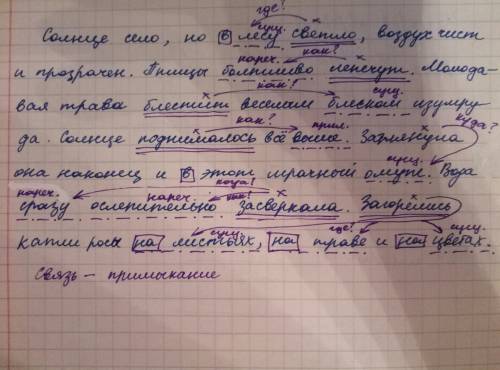 Прочитайте. найдите обстоятельства. к какому члену предложения они относятся и каким связаны с ним?