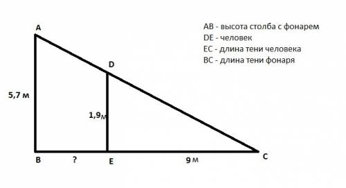 На каком расстоянии в метрах от фонаря расположенного на высоте 5.7 м стоит человек ростом 1.9 если