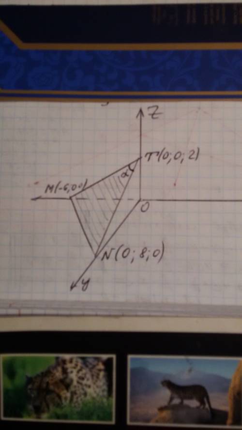 Найдите площадь треугольника mnt,если m(-6; 0; 0) n(0; 8; 0),t(0; 0; 2).нужно еще сделать рисунок к