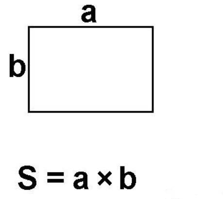 Длина прямоугольника 6 см. а ширина 2 см.начерти прямоугольник,найди его периметр и площадь и формул