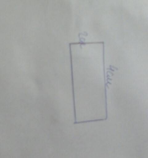 Начерти в тетради прямоугольник и найди его периметр и площадь.назови его .
