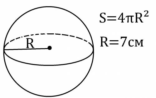 Найдите площадь сферы, радиус которой равен 7 см
