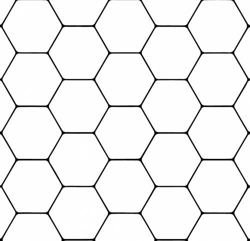 Пчёлы строят свои соты в виде правильных шестиугольников . постройте на альбомном листке рисунок пче