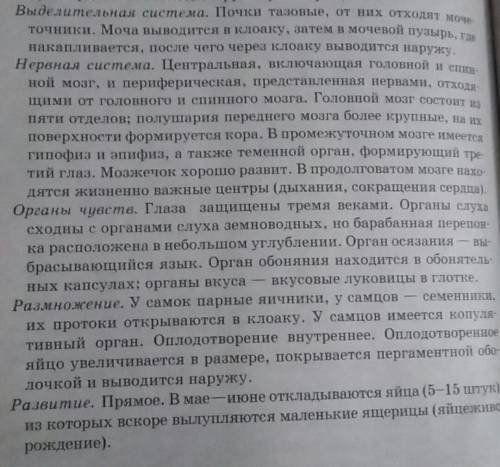 Кровеносная, нервная, выделительная, дыхательная системы и размножение(тип развития, оплодотворение)