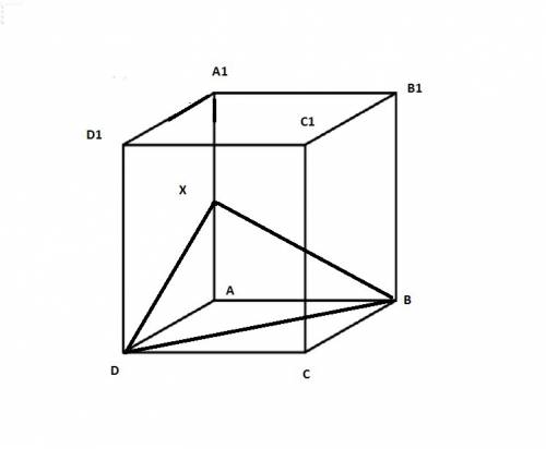 Постройте сечение куба abcda1b1c1d1 плоскостью, проходящей через точки b, d и середину aa1. найти пе