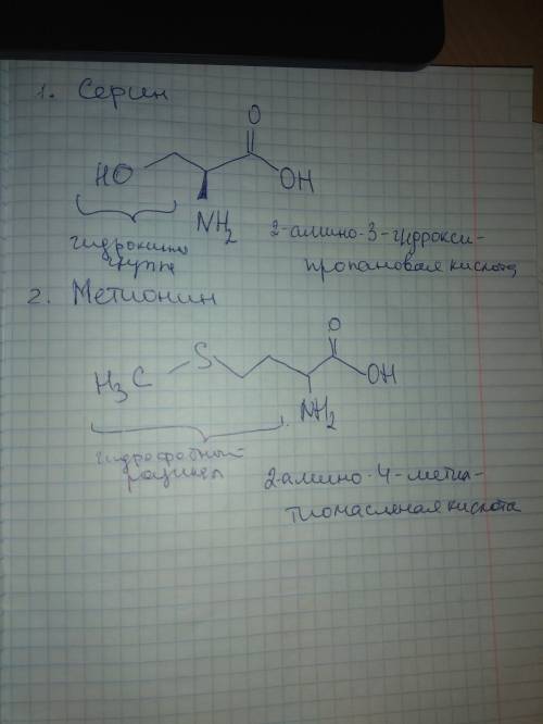 1. гидроксильную группу в боковом радикале содержат аминокислоты (выбрать и формулу): 1) серин 2) ци
