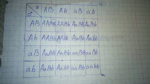 Учеловека карий цвет глаз доминирует над голубым, а лучше владеть правой рукой доминирует над левору