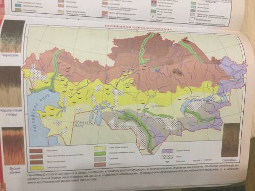 Почвенная карта территории казахстана