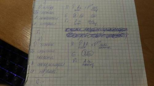 1)гладкая окраска арбузов наследуется как рецессивный признак какое потомство по генотипу и фенотипу