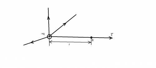 Электрическое поле образовано точечным зарядом,равным по модулю 10⁻¹⁰ кл. чему равен модуль напряжен