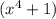 (x^4+1)