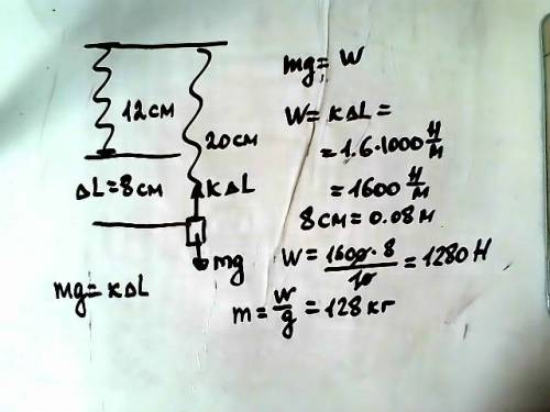 При подвеске груза пружина жесткостью 1,6кн/м увеличила свою длину от 12см до 20 см. определите масс