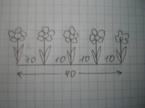Олжас посадил 5 тюльпанов на расстоянии 10 см друг от друга. каково расстояние от первого цветка до