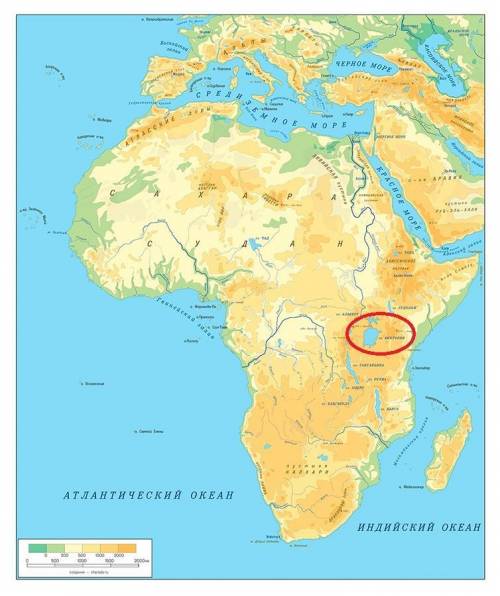 Найбільше озеро африки, що звуть африканським морем