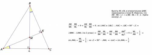Высоты ak и bl в остроугольном δabc пересекаются в точке m. известно, что am : mk = 2 : 1 и bm : ml