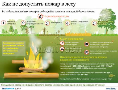 Сделать памятки законы лесной жизни