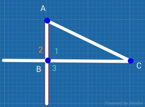 Покажите прямоугольный треугольник с 3-мя прямыми углами