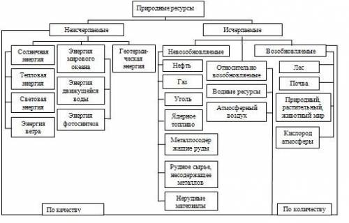 Составьте схему, иллюстрирующую причинно-следственные связи, которые обусловили разнообразие полезны