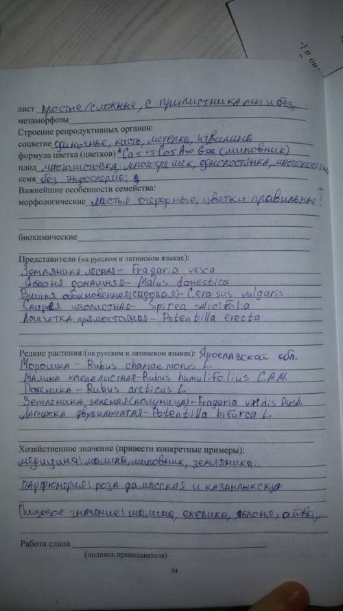 Sos! семейство розоцветные 1.тип листа и его характеристика: цельный или рассечённый,наличие опушени