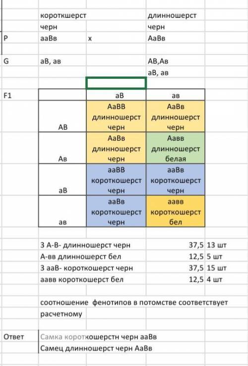 Длинношерстного чёрного самца морской свинки скрестили с чёрной короткошёрстной самкой. получено 15