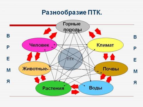 Составить схему видовое разнообразие птк