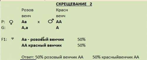 Червоноквіткову форму нічної красуні схрестили з білоквітковою. яким буде потомство від схрещування